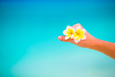 Similar image 10977799