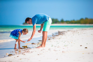 Similar image 10974982