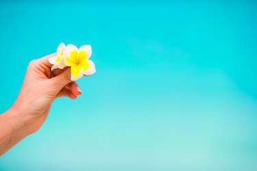 Similar image 10975775