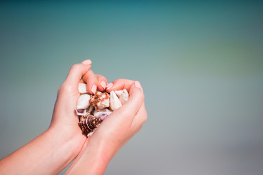 Similar image 10977505