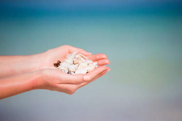 Similar image 10977649