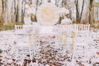 Similar image 11147385