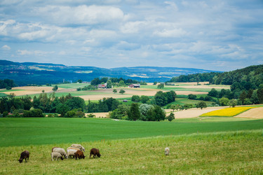 Similar image 11139029