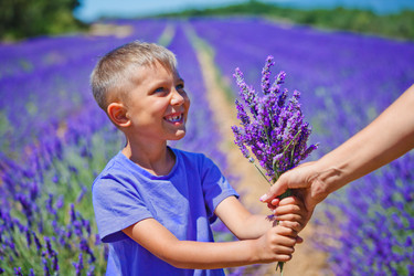 Similar image 11139046