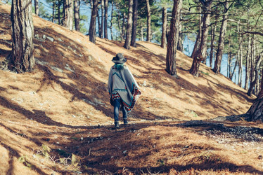 Similar image 11279864