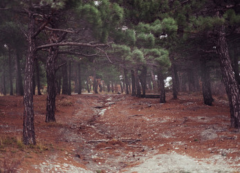 Similar image 11279981