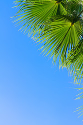 Similar image 11143455