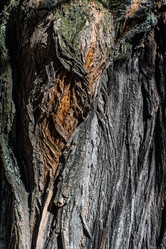 Similar image 11147250