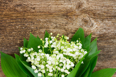 Similar image 11143798