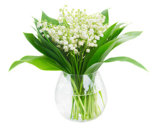 Similar image 11143799