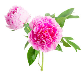 Similar image 11144416