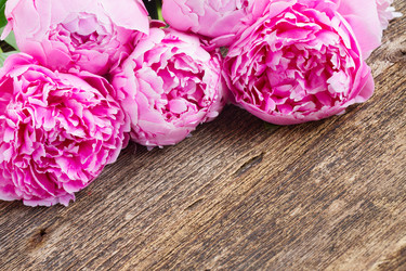 Similar image 11143634