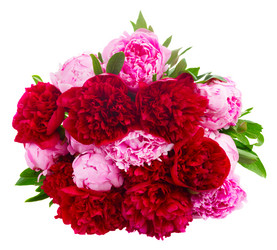 Similar image 11143456