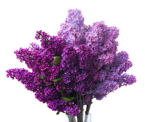 Similar image 11143495