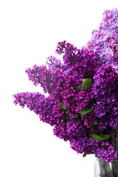 Similar image 11143599