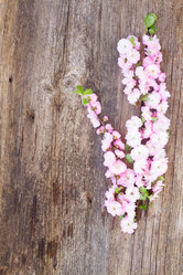 Similar image 11143635