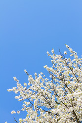 Similar image 11143857