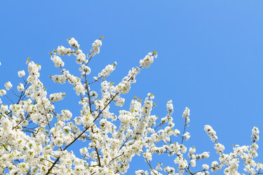 Similar image 11144297