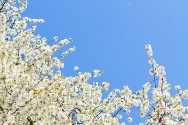 Similar image 11144333