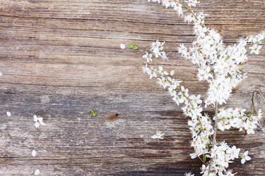 Similar image 11143594