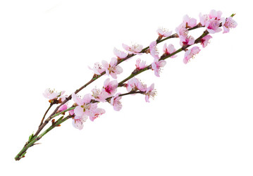 Similar image 11143595