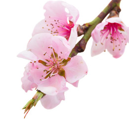 Similar image 11143596