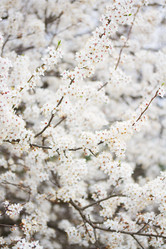 Similar image 11143603