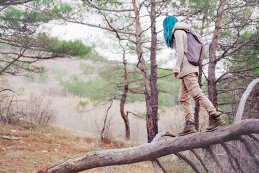 Similar image 11279652