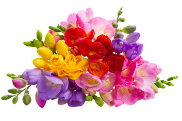 Similar image 11143714