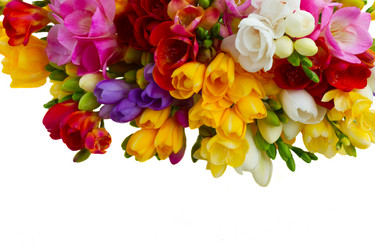 Similar image 11143674