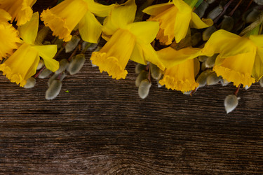 Similar image 11143924