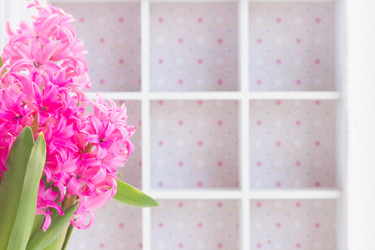 Similar image 11142636