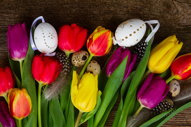 Similar image 11143576