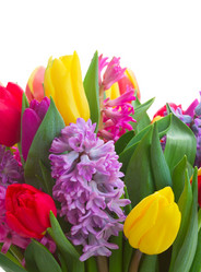 Similar image 11143858