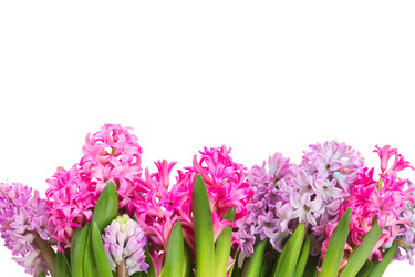 Similar image 11143895