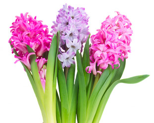 Similar image 11144336