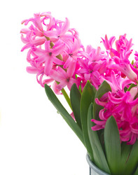 Similar image 11144354