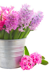 Similar image 11144355