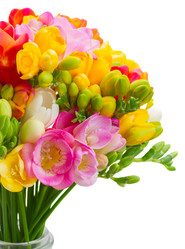 Similar image 11144357