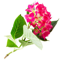 Similar image 11143970