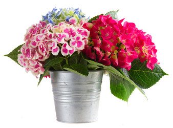 Similar image 11143927