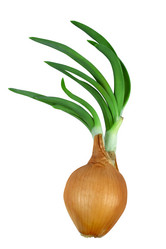 Similar image 10959781