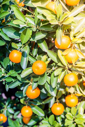 Similar image 10995063