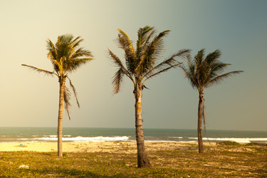 Similar image 10995089