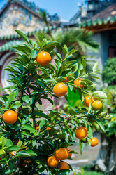 Similar image 10995102