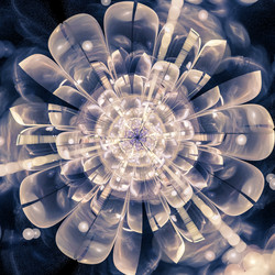 Similar image 10995217