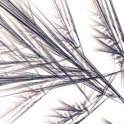 Similar image 10995225