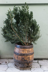 Similar image 11147173