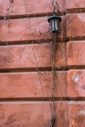 Similar image 11147183