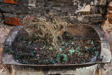 Similar image 11147185